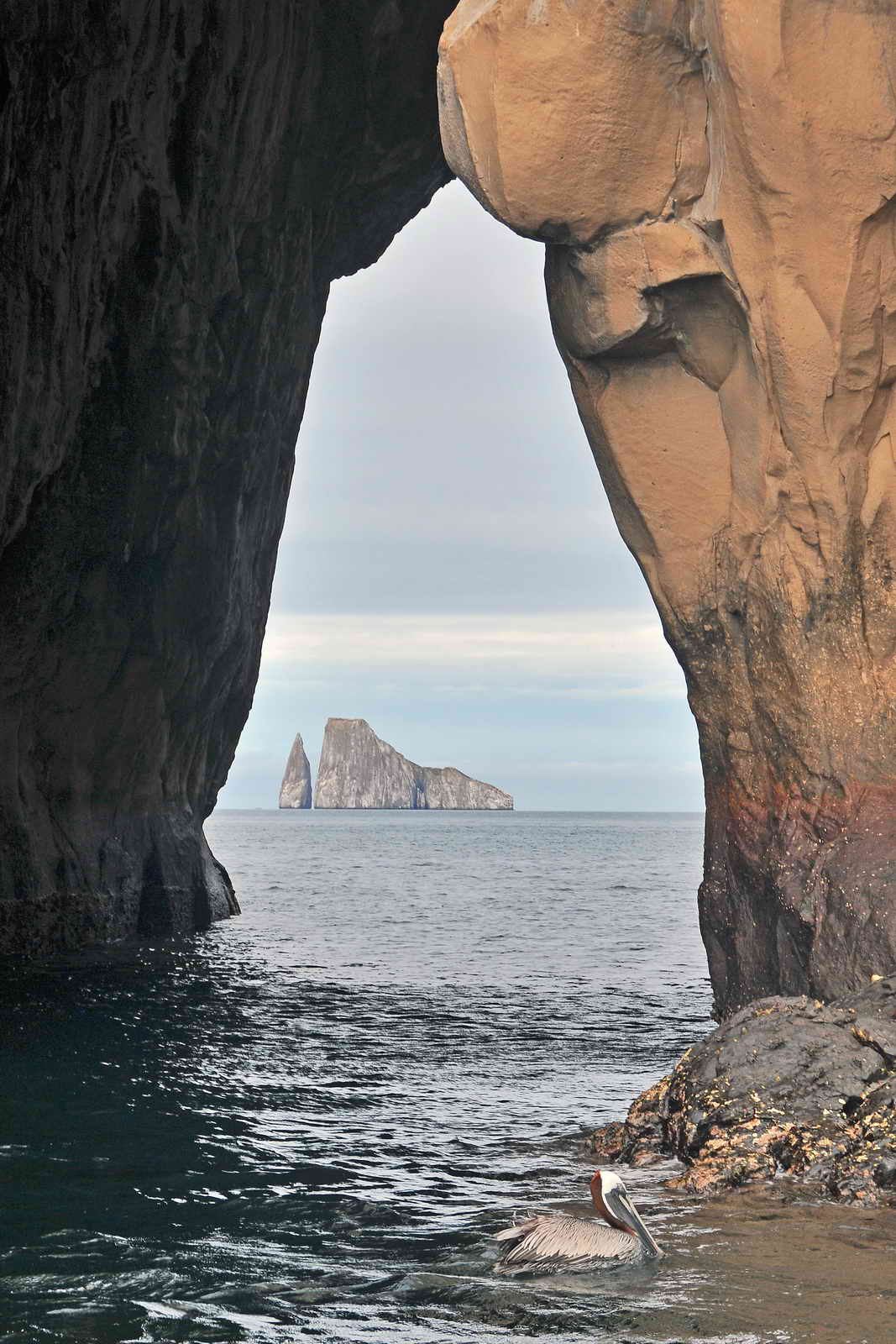 Kicker Rock View
